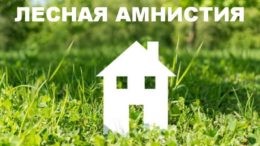 В Вологодской области пройдет «горячая» линия по вопросам реализации Федерального закона «о лесной амнистии»