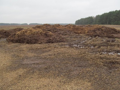 Каково состояние почв в Иркутской области – эксперты