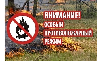 Внимание! С 15 апреля на территории Воронежской области установлен особый противопожарный режим
