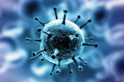 О мерах поддержки потребителей в условиях пандемии новой коронавирусной инфекции