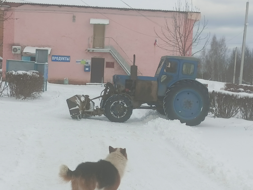 В сельском поселении Село Заречный регулярно проводиться чистка снега