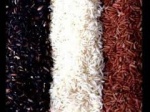 Краснозерные и чернозерные сорта риса