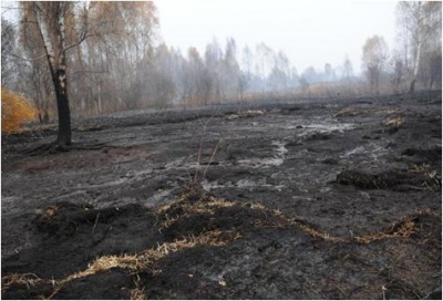 Брянская область: Пожарные не пустили огонь к населенному пункту в Красногорском районе