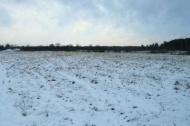 Костромская область: Полномочия по распоряжению земельными участками будут переданы городским и сельским поселениям