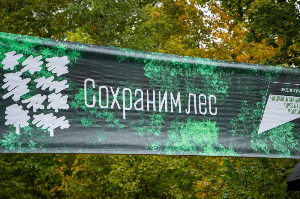 Всероссийская осенняя акция "Сохраним лес"
