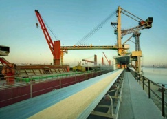 Экспортеры российской пшеницы приостановили заключение новых экспортных контрактов