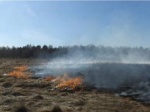 Калужская область: в поселении Боровенск уже не первую весну борются с огнем