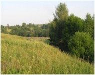 Кировская область: Расширены границы памятника природы «Пилинский лог»
