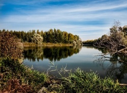 Экологическая реабилитация реки Усмань