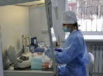 В Ульяновской области открылась лаборатория для диагностики наличия ГМО в продуктах питания и кормах