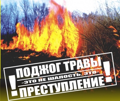 Ответственность за нарушение правил пожарной безопасности в лесах и поджог травы