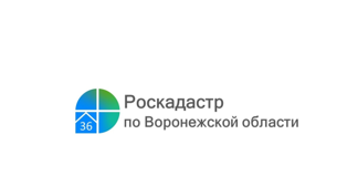 Землеустроительную документацию жители Воронежской области могут получить в Роскадастре