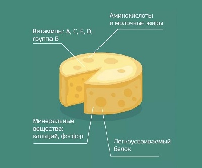 Сыр – это тоже кисломолочный продукт