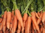 Как правильно выращивать морковь?