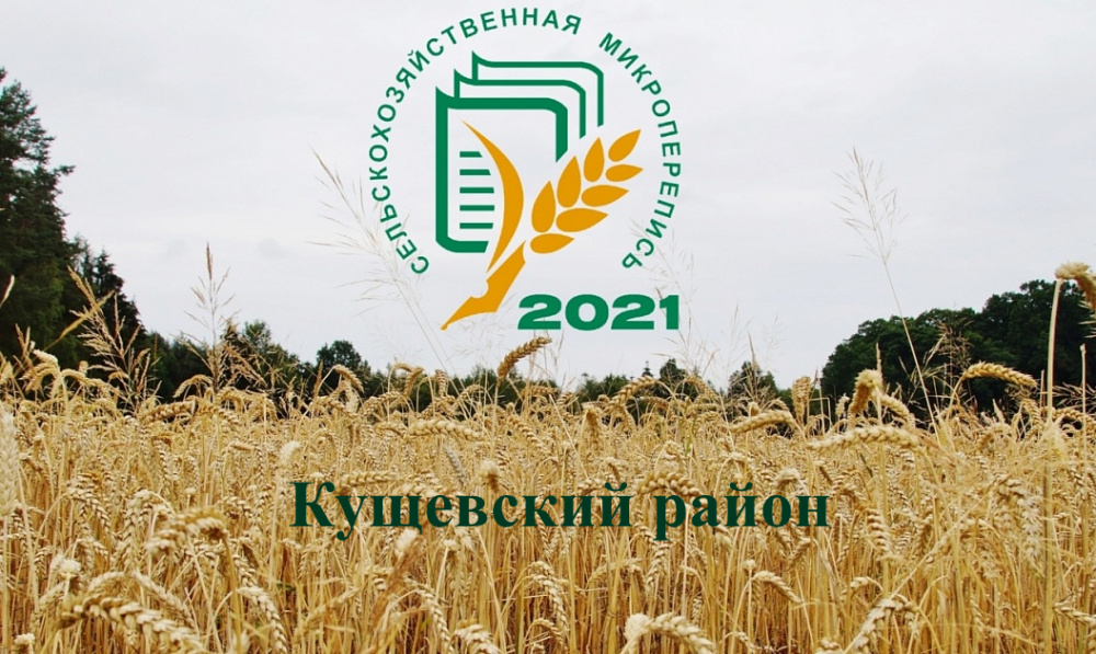 Информация о ходе сельскохозяйственной микропереписи на территории Кущевского района