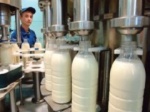 В селе Первомайское Карачаево-Черкесии установят охладители молока