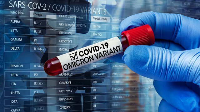 В России выявили первые два случая заражения омикрон-штаммом коронавируса 
