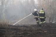 Брянская область: Пожарные не пустили огонь к населенному пункту в Красногорском районе