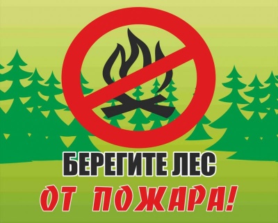 Не разжигайте костёр в лесу!