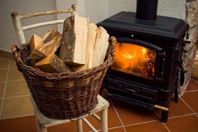 Жители Кировской области могут приобрести древесину для отопления по низкой ставке