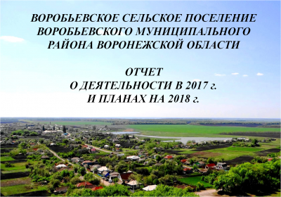 Глава Воробьевского сельского поселения выступил с отчетом в Правительстве Воронежской области