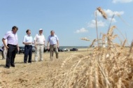 В Оренбуржье намолотили 1,5 млн. тонн зерна