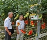Правительство Пермского края готовит стажировку в Словакию для руководителей и специалистов сельскохозяйственных предприятий Прикамья.