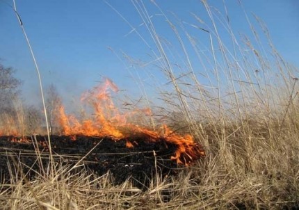 Бесконтрольный пал сухой травы – причина пожаров