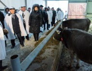В Калужской области открылась четырнадцатая роботизированная ферма