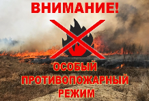 На территории сельского поселения Васильевкаа установлен особый противопожарный режим с 15.05.2023г. по 01.10.2023г.