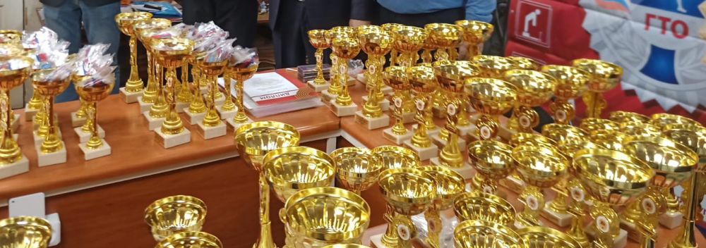 Торжественная церемония награждение победителей и призёров ежегодного регионального творческого конкурса «ГТО в моей жизни»