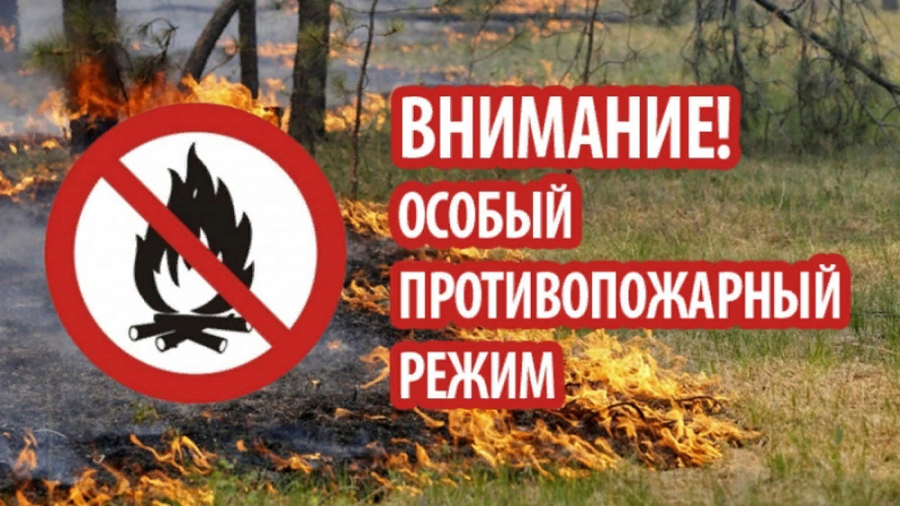 В Оренбуржье введен особый противопожарный режим