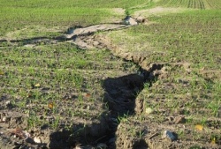 Эрозия почвы и меры борьбы с ней