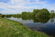 Кировская область участвует в акции по очистке берегов малых рек