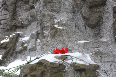 Волгоградская область готовится отметить 72-ю годовщину победы в Сталинградской битве
