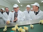 Николай Федоров обсудил вопросы развития российского птицеводства