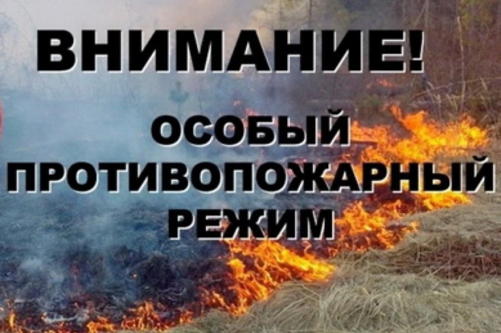 Внимание! С 17.04.2023 на территории Воронежской области устанавливается особый противопожарный режим! 