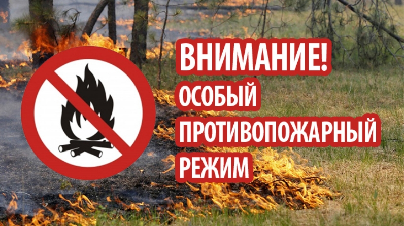 С 1 апреля 2022 года постановлением правительства Воронежской области устанавливается особый противопожарный режим