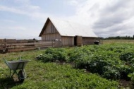 В Вологодской области специалистам на селе предоставят землю