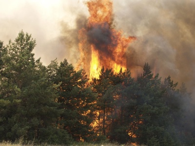 В Волгоградской области объявлен самый высокий класс пожарной опасности 