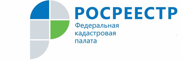 Все лесничества Воронежской области внесены в ЕГРН