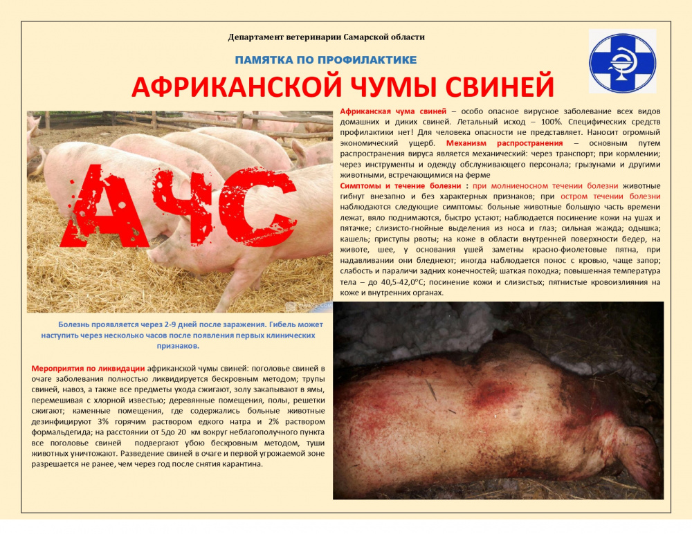 Информирование о угрозе возникновения АЧС на территории муниципального района Безенчукский Самарской области
