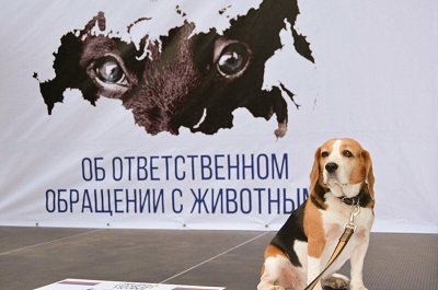 КоАП РФ дополнен новыми статьями, предусматривающими ответственность за нарушение требований законодательства в области обращения с животными