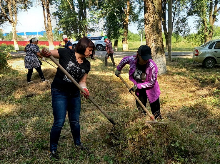 На территории Кущевского сельского поселения продолжаются работы по наведению санитарного порядка