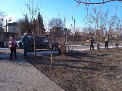Обрезка деревьев в парке "Школьный"