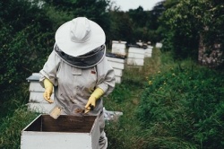 Особенности пчеловодства