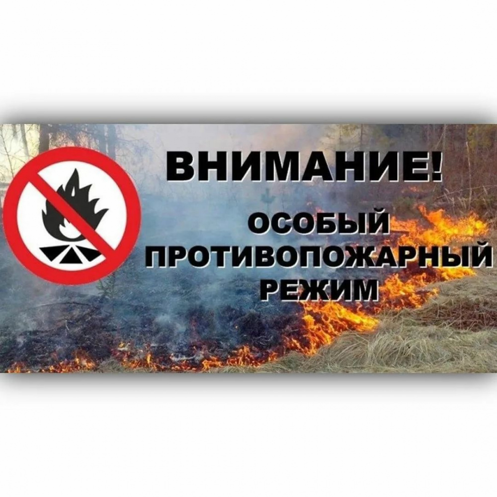 Ответственность за нарушение правил пожарной безопасности в лесах.