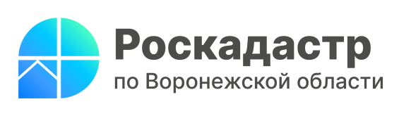 Филиал публично-правовой компании «Роскадастр» по Воронежской области сообщает 