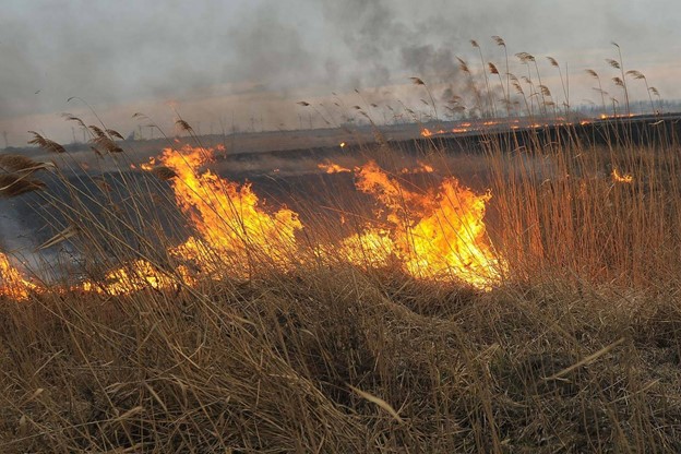 Вологодский Росреестр напоминает о неукоснительном соблюдении Правил пожарной безопасности на землях  сельскохозяйственного назначения