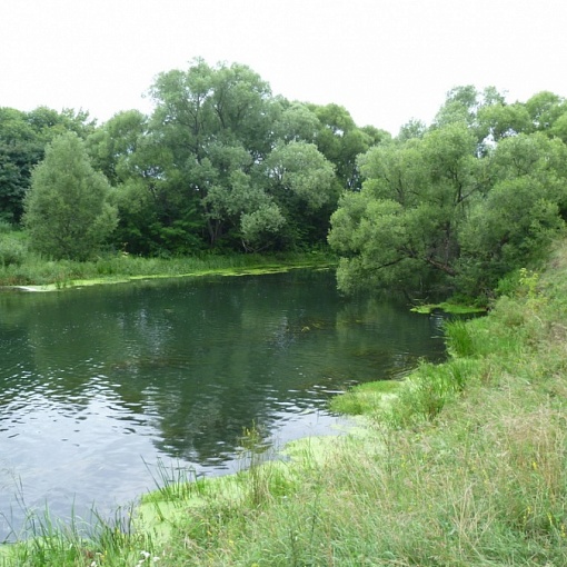Река Любовша